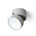 FLAVIO R pinta-asennettava vaaleanharmaa 230V LED 6W 110° IP54 3000K – valmistajan tuotekuva (R14200)